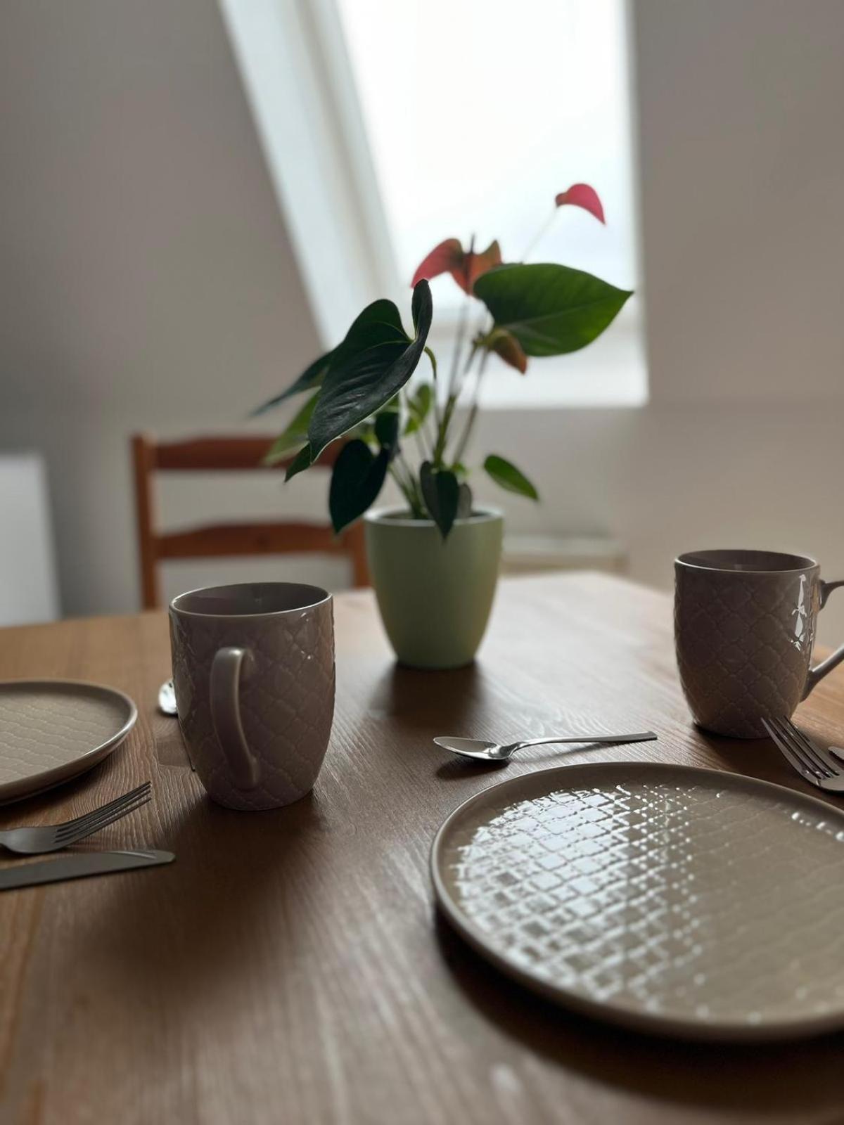 1 Raum Dachgeschosswohnung In Ruhiger Lage Limabach - Oberfrohna Extérieur photo